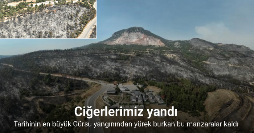 Tarihinin en büyük Gürsu yangınından yürek burkan bu manzaralar kaldı
