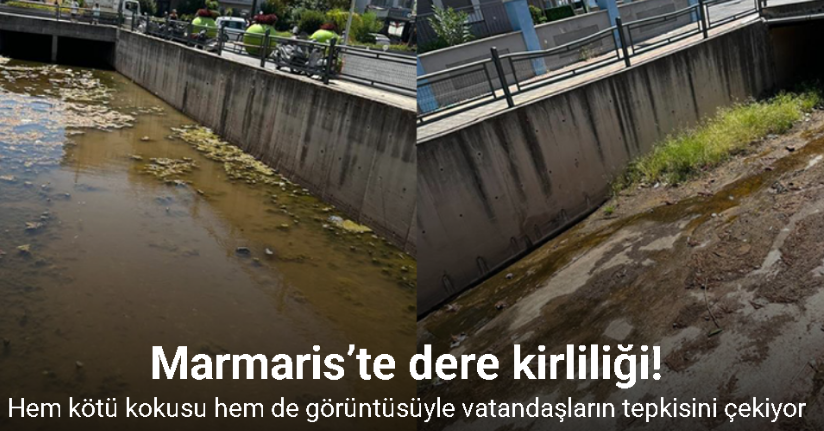 Marmaris’te dere kirliliği tepkisi: 
