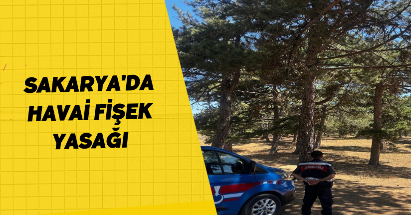 Sakarya'da 'havai fişek' yasağı