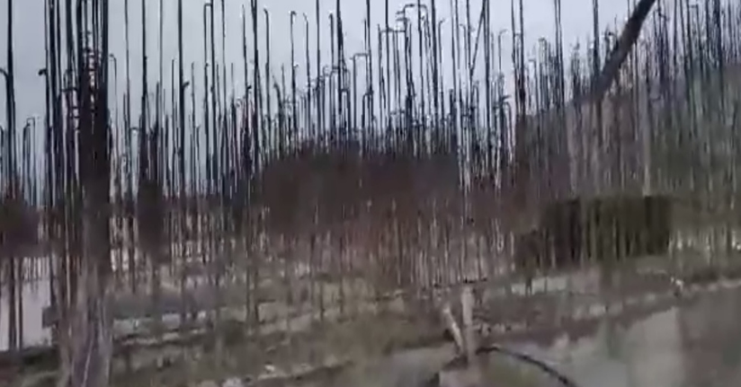 Bartınlı inşaat işçileri, Rusya'da deprem anını görüntüledi