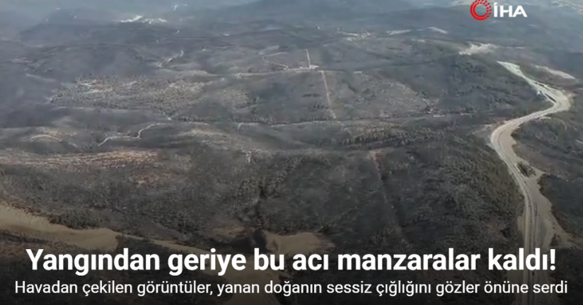 5 gün sonra kontrol altına alınan yangından geriye yürek burkan görüntüler kaldı