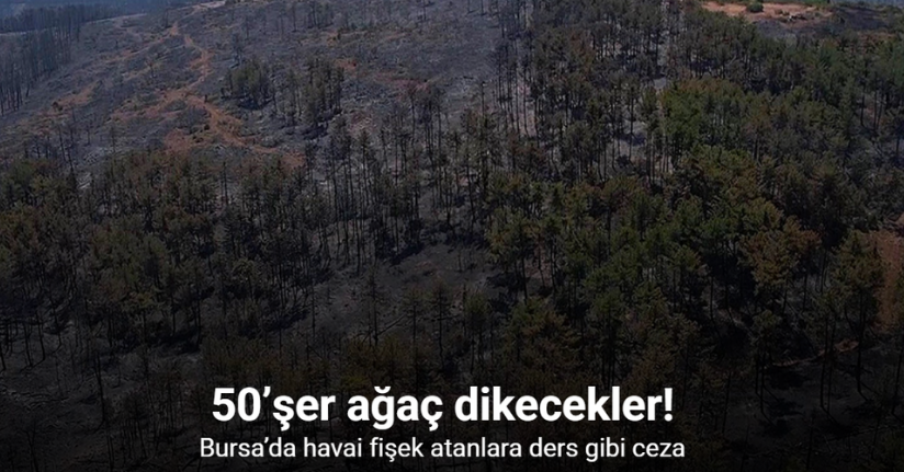 Bursa’da havai fişek atanlara ders gibi ceza: 50’şer ağaç dikecekler