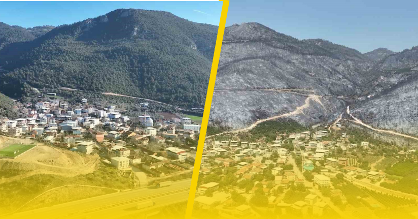 Yeşil Bursa’nın yemyeşil ormanları böyle karardı