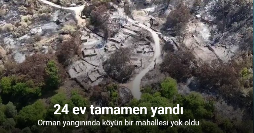 Orman yangınında köyün bir mahallesi yok oldu