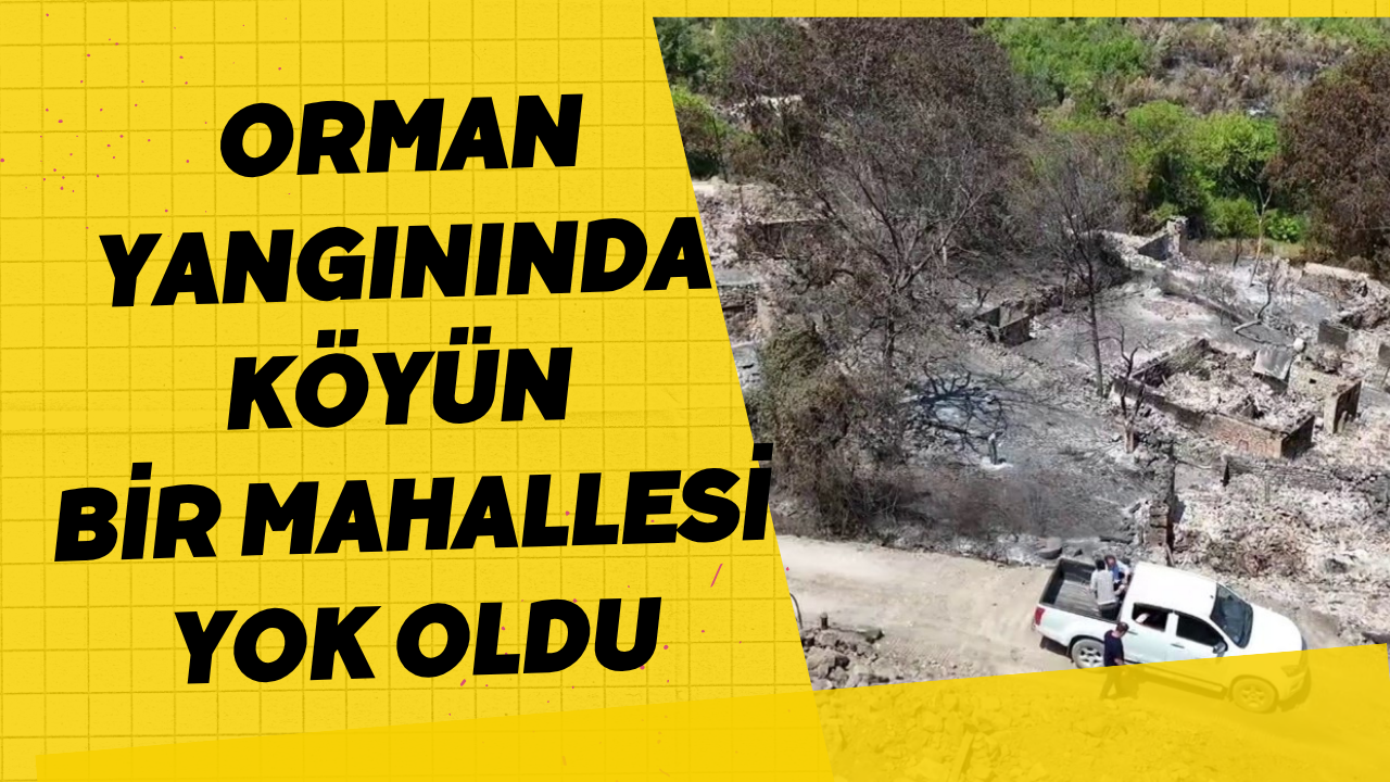 Orman yangınında köyün bir mahallesi yok oldu