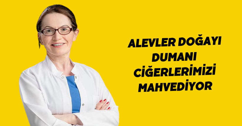 Alevler doğayı, dumanı ciğerlerimizi mahvediyor