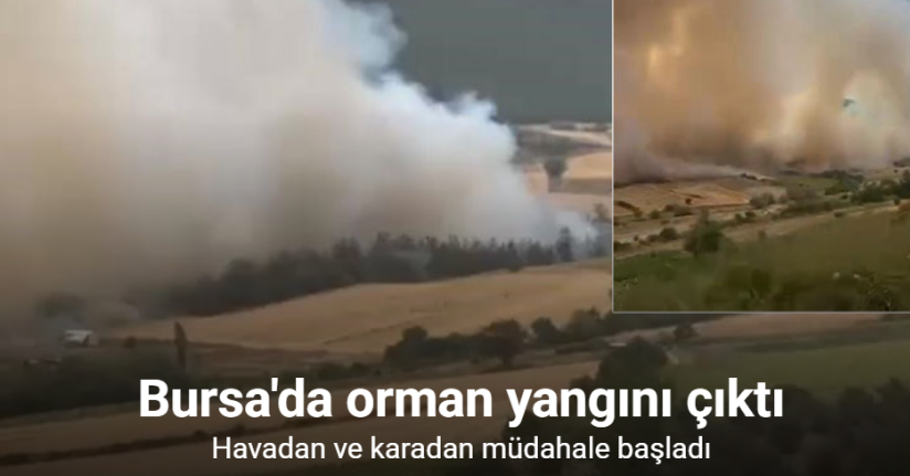 Bursa’da orman yangınına havadan ve karadan müdahale
