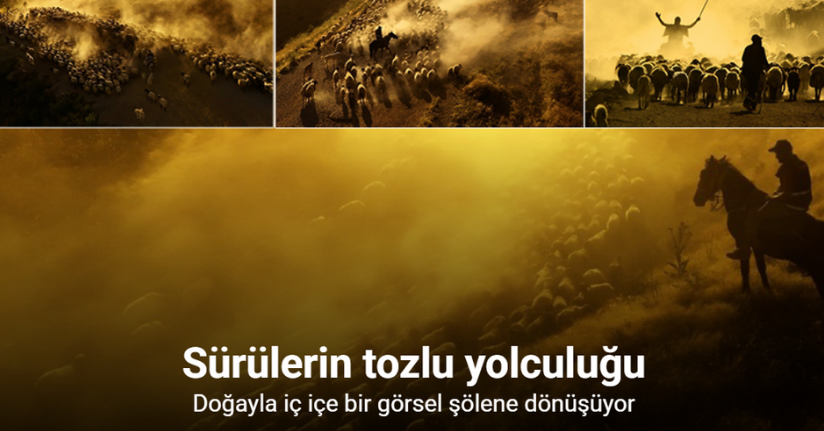 Sürülerin tozlu yolculuğu havadan görüntülendi