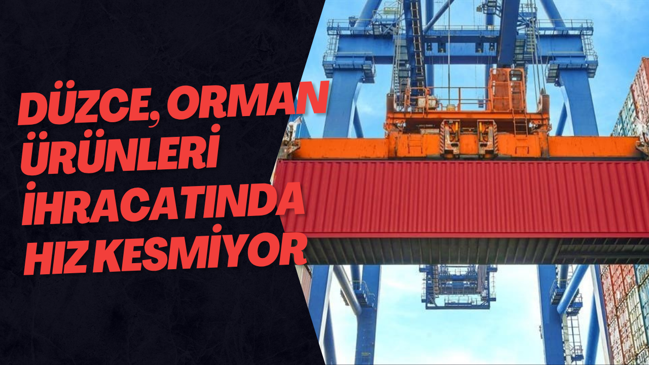Düzce, Orman Ürünleri İhracatında Hız Kesmiyor