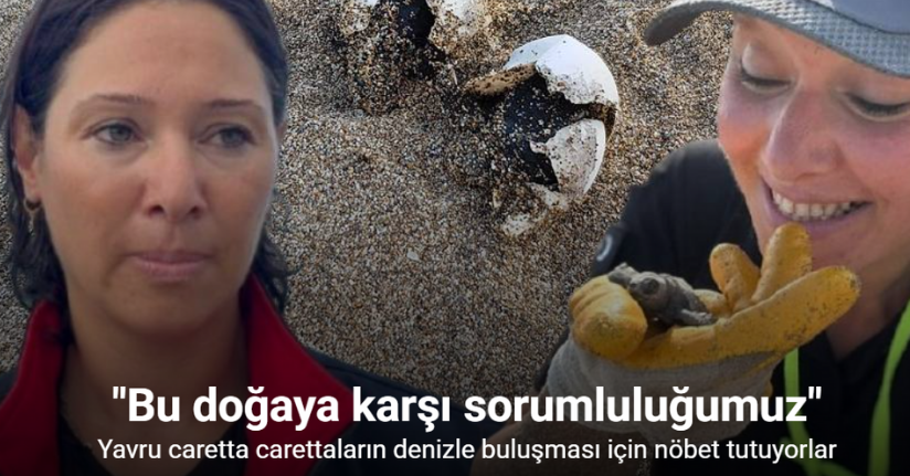 Antalya’da yavru caretta carettaların denizle buluşması için nöbet tutuluyor