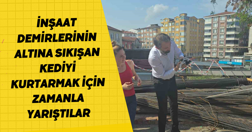 İnşaat demirlerinin altına sıkışan kediyi kurtarmak için zamanla yarıştılar
