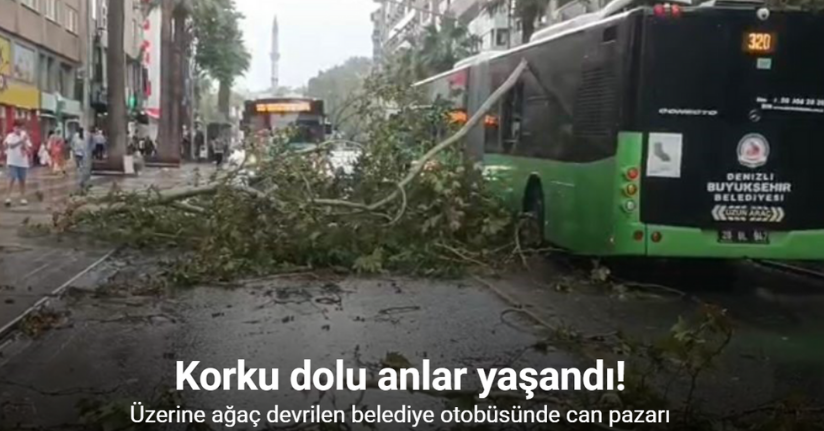 Üzerine ağaç devrilen belediye otobüsünde can pazarı belediye otobüsünde can pazarı