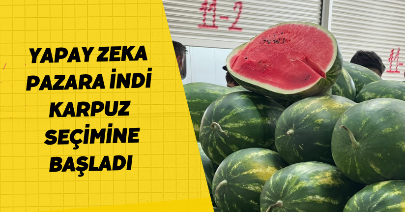 Yapay zeka pazara indi, karpuz seçimine başladı