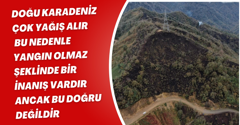 Doğu Karadeniz çok yağış alır, bu nedenle yangın olmaz şeklinde bir inanış vardır ancak bu doğru değildir