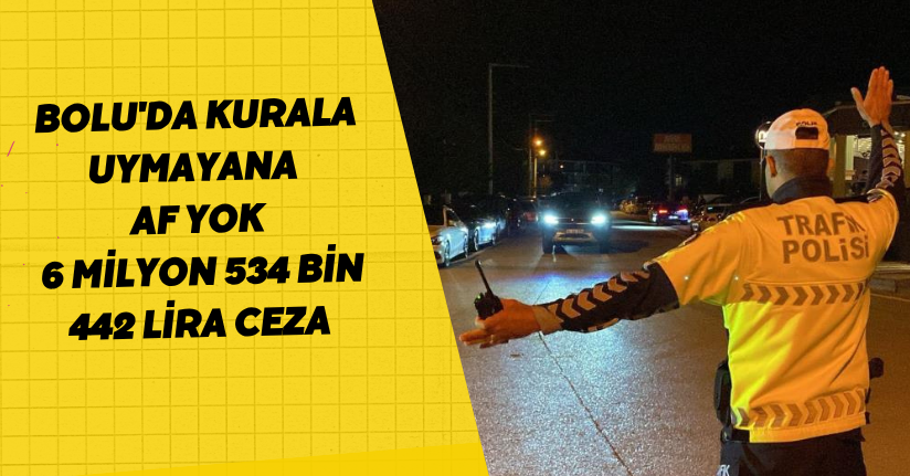Bolu'da kurala uymayana af yok: 6 milyon 534 bin 442 lira ceza
