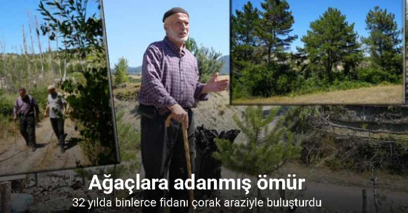 Ağaçlara adanmış ömür: 32 senede binlerce fidan dikti