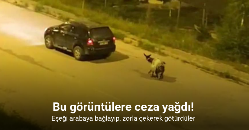 Kars’ta eşeği arabaya bağlayıp, zorla çekerek götürdüler