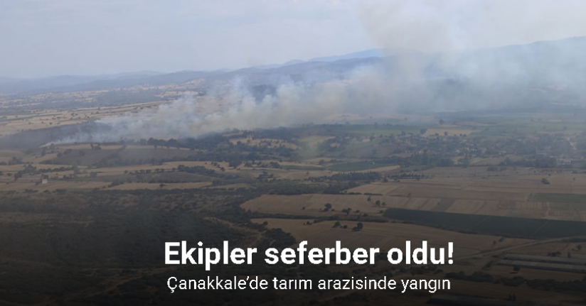 Çanakkale’de tarım arazisinde yangın