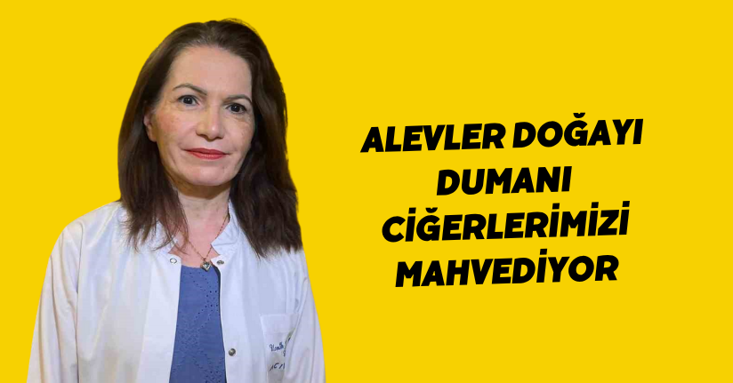 Alevler doğayı, dumanı ciğerlerimizi mahvediyor