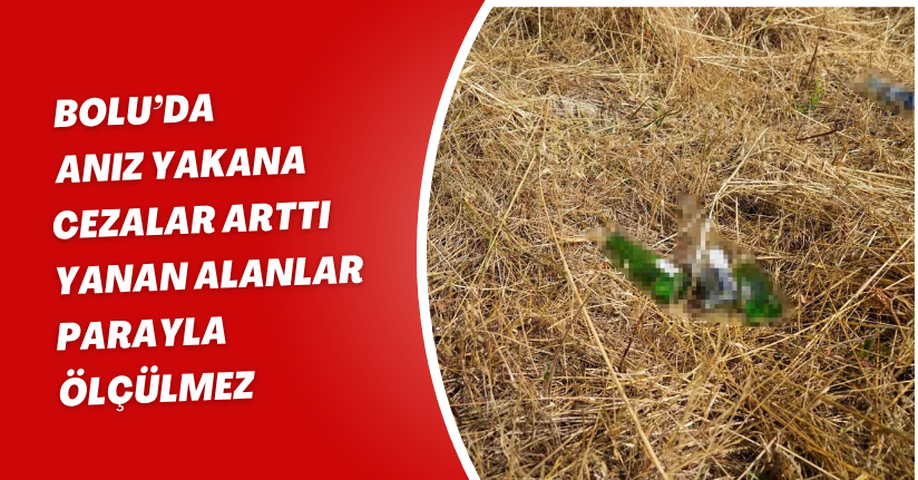 Bolu’da anız yakana cezalar arttı: 
