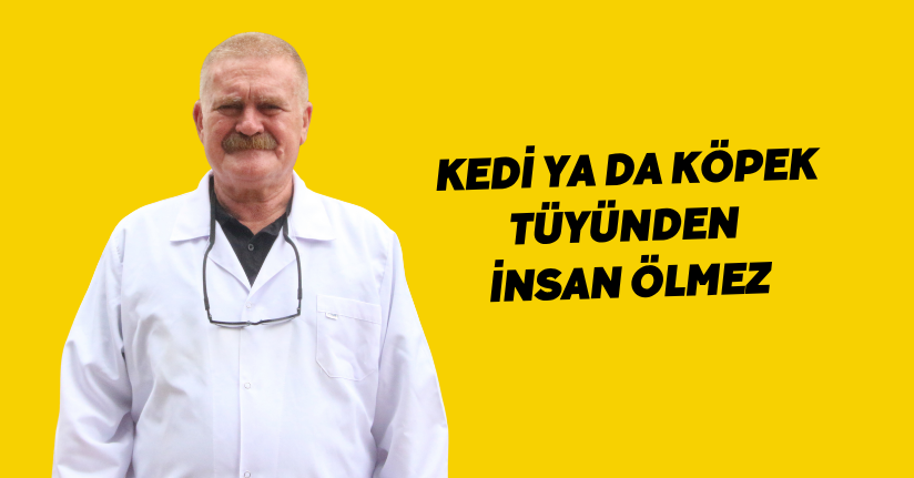Kedi ya da köpek tüyünden insan ölmez