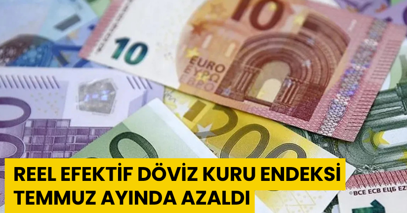Reel efektif döviz kuru endeksi Temmuz ayında azaldı