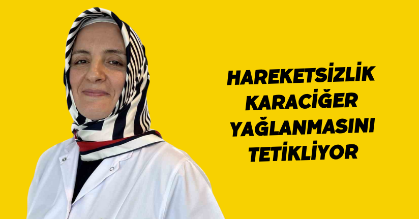 Hareketsizlik karaciğer yağlanmasını tetikliyor