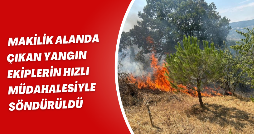 Makilik alanda çıkan yangın ekiplerin hızlı müdahalesiyle söndürüldü