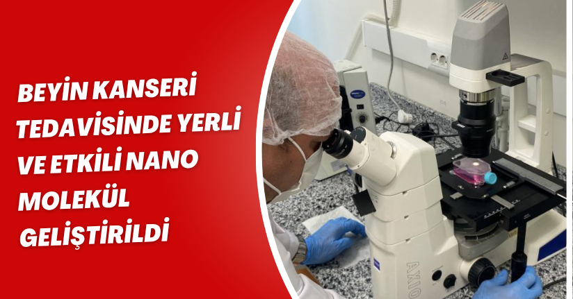 Beyin kanseri tedavisinde yerli ve etkili nano molekül geliştirildi