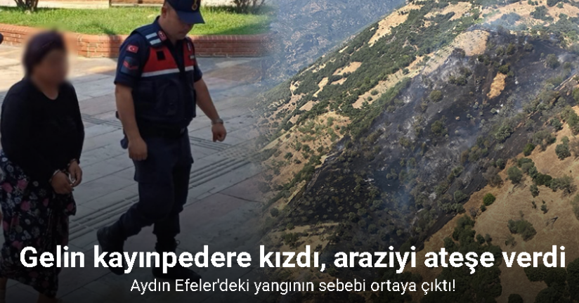 Kayınpeder öfkesi 3 hektarı küle çevirdi