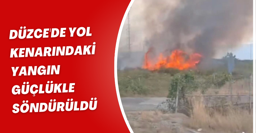 Düzce'de yol kenarındaki yangın güçlükle söndürüldü