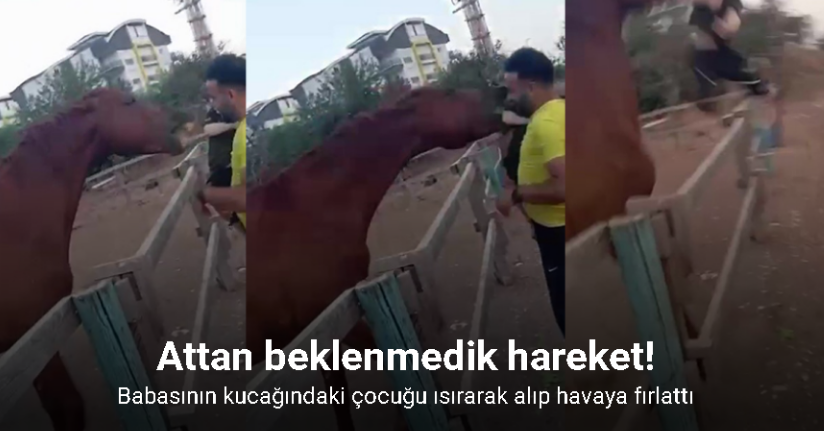 Attan beklenmedik hareket: Babasının kucağındaki çocuğu ısırarak alıp havaya fırlattı