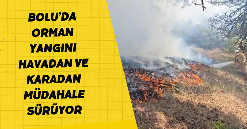 Bolu’da orman yangını: Havadan ve karadan müdahale sürüyor