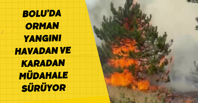  Bolu'da orman yangını: Havadan ve karadan müdahale sürüyor