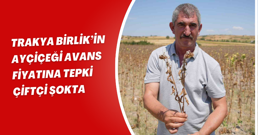 Trakya Birlik’in ayçiçeği avans fiyatına tepki: 