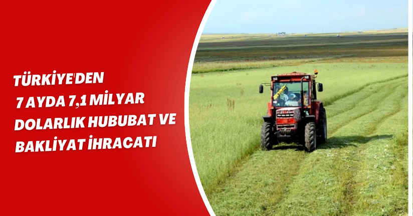 Türkiye'den 7 Ayda 7,1 Milyar Dolarlık Hububat ve Bakliyat İhracatı