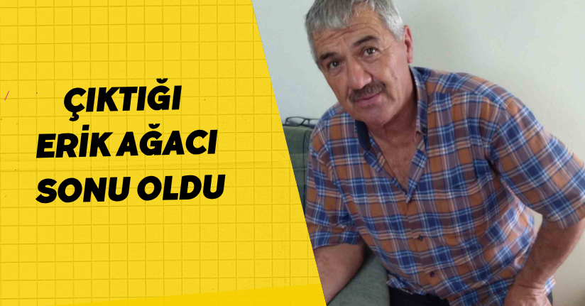 Çıktığı erik ağacı sonu oldu