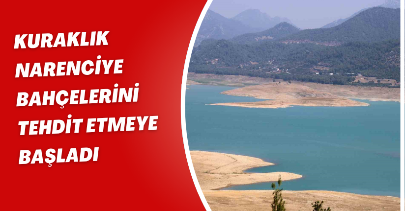 Kuraklık narenciye bahçelerini tehdit etmeye başladı