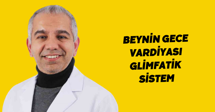 Beynin gece vardiyası: Glimfatik sistem