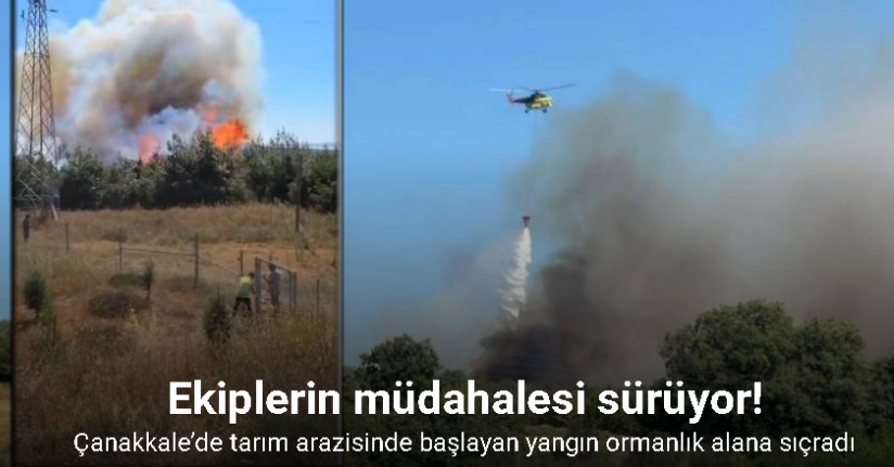 Çanakkale’de tarım arazisinde başlayan yangın ormanlık alana sıçradı