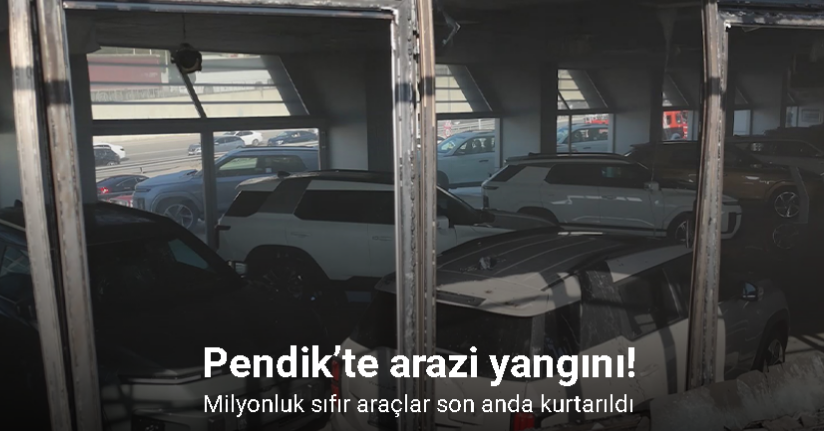 Pendik’te arazi yangını: Milyonluk sıfır araçlar son anda kurtarıldı