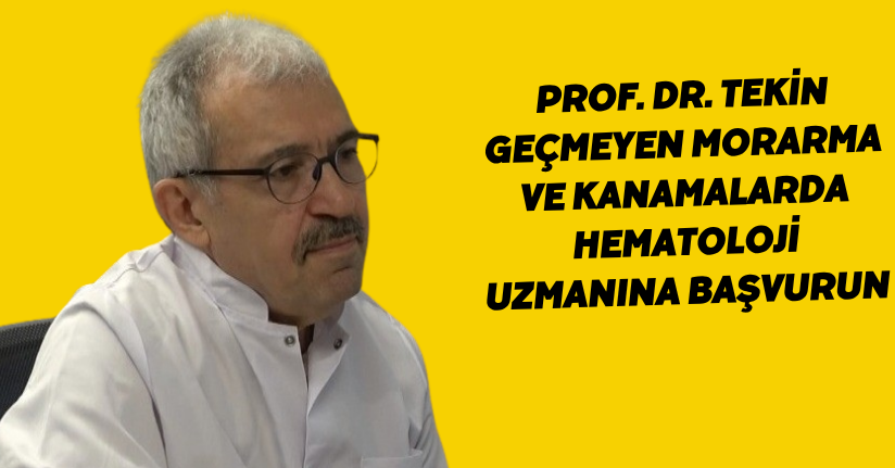 Prof. Dr. Tekin: 