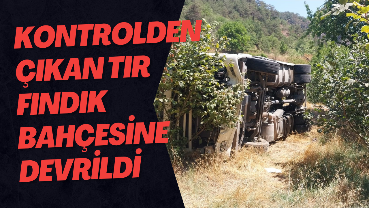 Kontrolden Çıkan Tır Fındık Bahçesine Devrildi