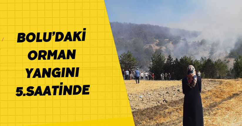 Bolu’daki orman yangını 5.saatinde