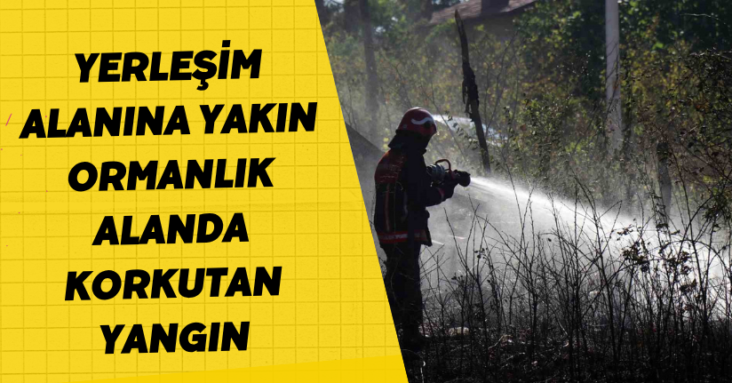 Yerleşim alanına yakın ormanlık alanda korkutan yangın