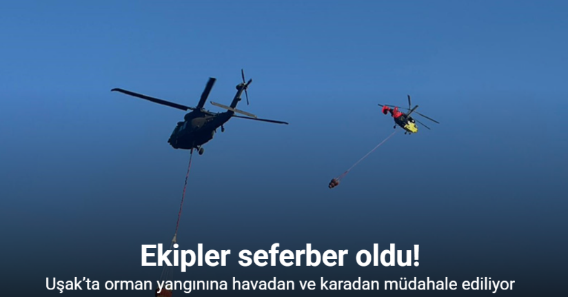 Uşak’ta orman yangınına havadan ve karadan müdahale ediliyor