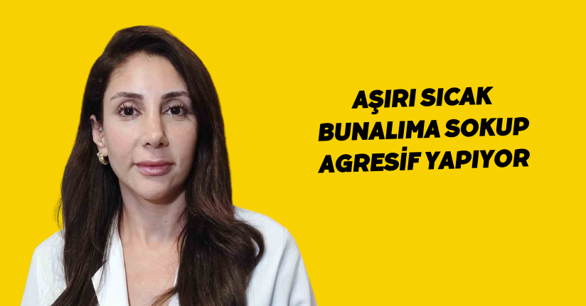 Aşırı sıcak bunalıma sokup agresif yapıyor