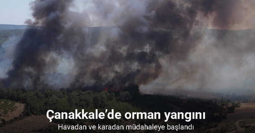 Çanakkale’de orman yangını