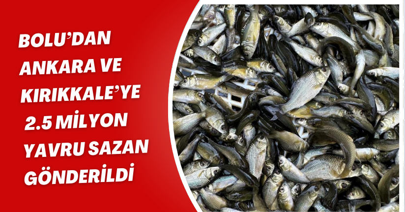Bolu’dan, Ankara ve Kırıkkale’ye 2.5 milyon yavru sazan gönderildi
