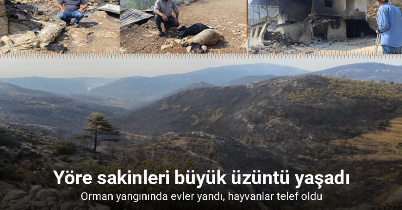Mersin’de orman yangınında evler yandı, hayvanlar telef oldu